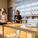 Q&A: Expert discusses risks of cannabis use