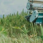 Could a new CBD plastic fix our pollution problems?