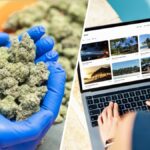LA voters approve higher taxes on unlicensed cannabis shops, online travel sites