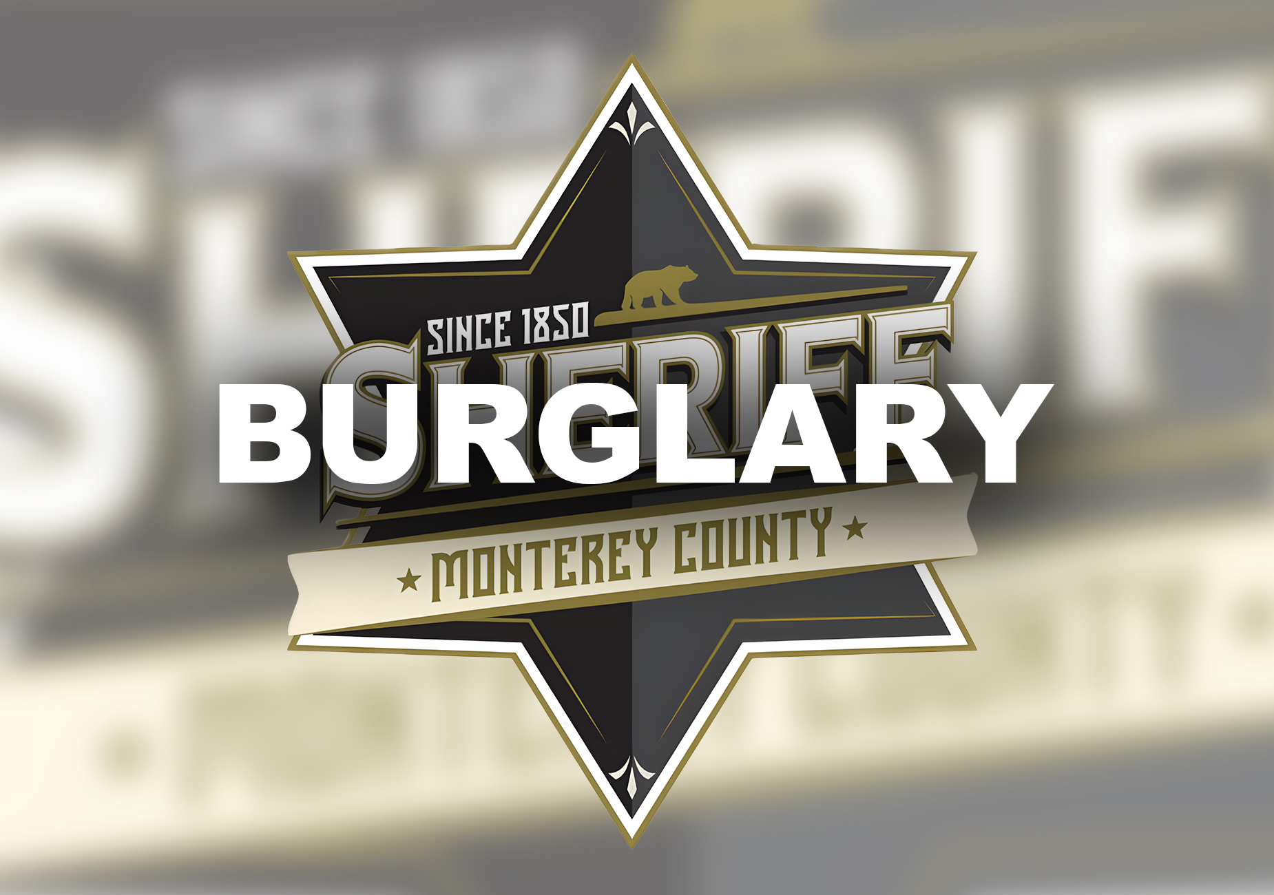 burglary logo