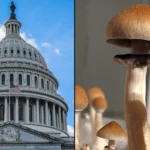 Bipartisan Lawmakers Seek To Extend Military Psychedelics Research Program Until 2033