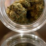 Court rejects bid to derail ballot question to repeal marijuana legalization