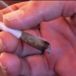 San Francisco supervisors approve plans of cannabis cafes