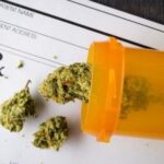 Arkansas medical marijuana sales down through June