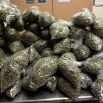 Alleged Oakland weed dealer arrested in Livermore