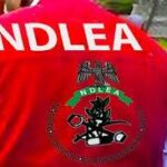 NDLEA Intercepts Cocaine, Cannabis and Tapentadol in Nationwide Crackdown