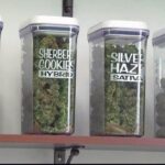 Missoula places moratorium on new marijuana dispensaries