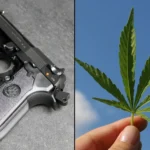 Hawaii Police Department’s Recognition Of Medical Marijuana Patients’ Gun Rights Is Long Overdue (Op-Ed)