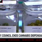 Hamilton City Council ends cannabis dispensary ban