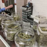 Rhode Island Officials Will Refund Marijuana Business License Application Fees As Process Restarts Following Litigation