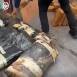 Cannabis hidden in brick shipments: Police smash Thailand-to-Poland smuggling ring