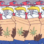 Opinion | Europe Is Not Ready for American Weed