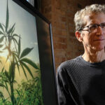 Federal judge dismisses defamation suit filed by attorney-owned marijuana company