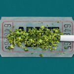 Cannabis Fest returns to the North Side