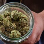 Maine to roll out thousands of lockable cannabis storage bags