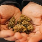 Attorney-Owned Marijuana Company Can’t Proceed With Defamation Lawsuit, Fed Judge Says
