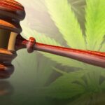 Emily’s Hope urges Congress not to delay law cracking down on hemp THC Lloophole