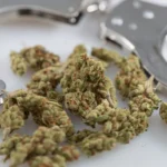 Houston Will Deprioritize Marijuana Arrests If Voters Approve Measure Cleared For November Ballot