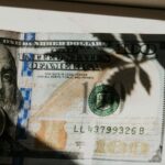 Virginia Hemp Businesses Sue, Claim New THC Law Wipes Out Millions in Investments