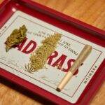 Leading hemp-derived cannabinoid brands lean on lifestyle and youth appeals on social media