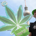 Germany becomes Europe’s largest regulated cannabis market