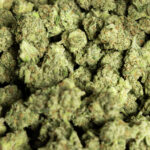 THC products banned in Texas. Here is what to know