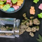 Report highlights substance use in young adults in US in 2025