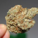 California Governor Signs Bill Restricting Marijuana Packaging That’s ‘Attractive To Children’