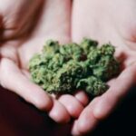 Barrow man resorted to cannabis to help him through complex PTSD