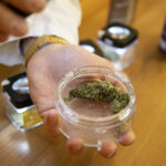Legal Swiss cannabis sales ‘promote safer consumption’