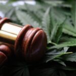 New law brings stricter penalties for marijuana-related offenses on college campuses across Louisiana