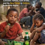 GHANA SAFE? Cannabis Toffees, Soft Drinks and the New Threat to Children in the Volta Region