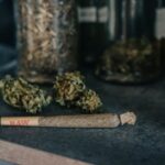 Gallup Poll Reveals 25% of Middle-Aged Americans Smoke Marijuana