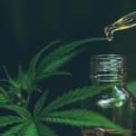 UK Steps Closer to Regulated CBD Market With New FSA Recommendation