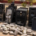 Nigeria’s NDLEA reports seizure of cannabis and other drugs in seven states