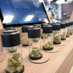 Cannabis tracking was a big investment. Let’s make the most of it.