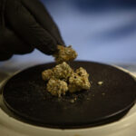 Ellsworth picks 3 adult-use cannabis vendors nearly 2 years after voter approval