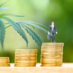 Aurora Cannabis and the Changing Cannabis Landscape