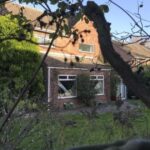 Nine  person Norwich cannabis production trial back in court