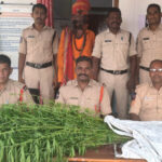 Adilabad police seize 18 marijuana plants worth ₹2 lakh
