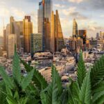 Is it time for London to legalise cannabis?