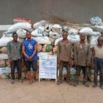 NDLEA Destroys 7.5 Tonnes Of Cannabis In Ondo Forest, Arrests Five Suspects