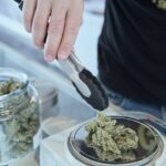 US cannabis legalization linked to rise in cardiovascular hospital admissions