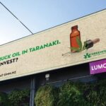 Auditor loses NZ licence over failures linked to collapsed cannabis firm