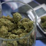 Medical marijuana delivery in Georgia could start before November