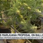 Niles ballot measure proposes limit to big marijuana dispensaries