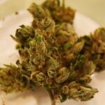 Who’s funding the effort to repeal legal recreational weed? It might not be who you think.