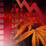Does Elixinol Wellness (ASX:EXL) Have a Hemp Edge?